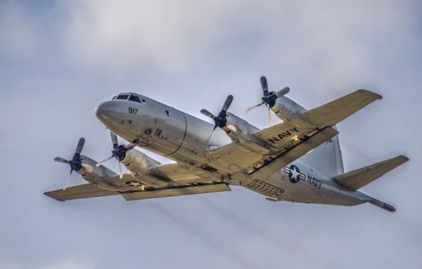 The sky, aviation, the plane