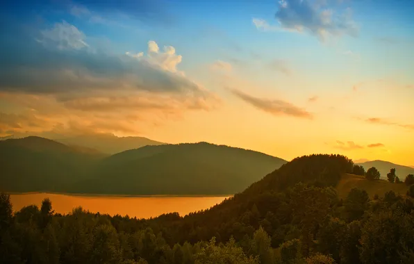 Forest, the sky, water, the sun, clouds, light, trees, landscape