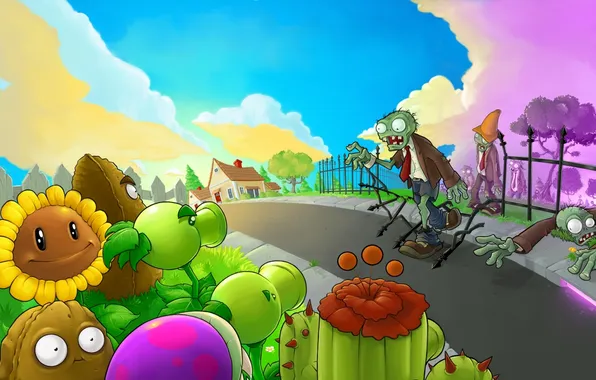 Picture road, sunflower, garden, cactus, potatoes, Plants vs. Zombies, Plants vs Zombies