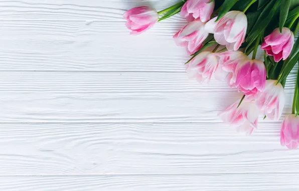 Flowers, tulips, pink, fresh, wood, pink, flowers, beautiful