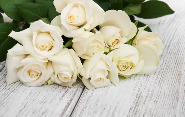 Picture roses, bouquet, petals, white, beautiful, buds, Olena Rudo