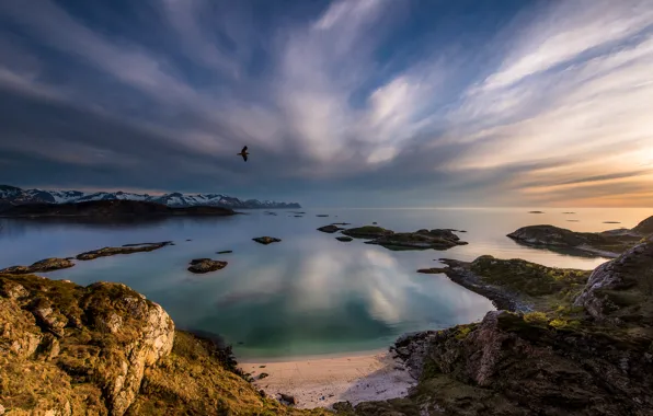 Sand, sea, clouds, sunset, stones, bird, coast, horizon