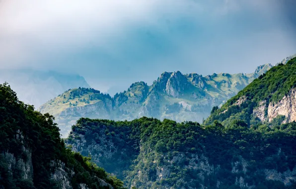 Nature, Mountains, Trees, Mountain, Forest, Landscape, Nature, Sky