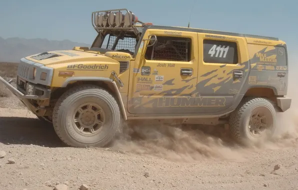 Picture Desert, Hummer, Rally