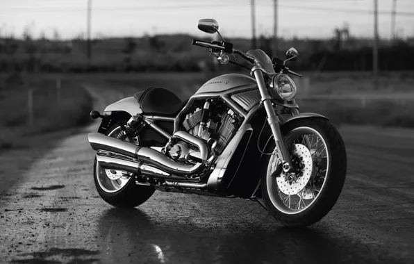 Motorcycle, Harley Davidson, bike, motor, black and white, Harley Davidson, v-rod