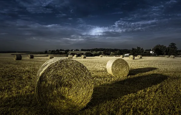 Field, landscape, night, hay