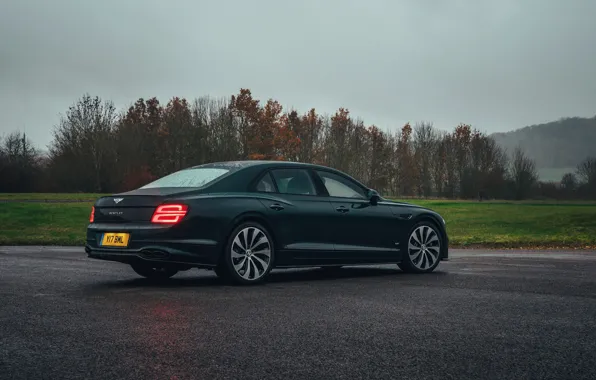 Bentley, wet asphalt, Flying Spur, 2020, V8, 2021, drizzle, Flying Spur V8