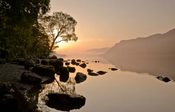 Picture forest, the sky, the sun, mountains, fog, river, stones, haze