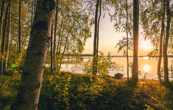 Picture The sun, Nature, Lake, Trees, Nature, Sunrise, Finland, Finland