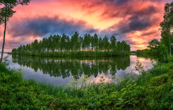 Summer, grass, trees, sunset, lake, reflection, island
