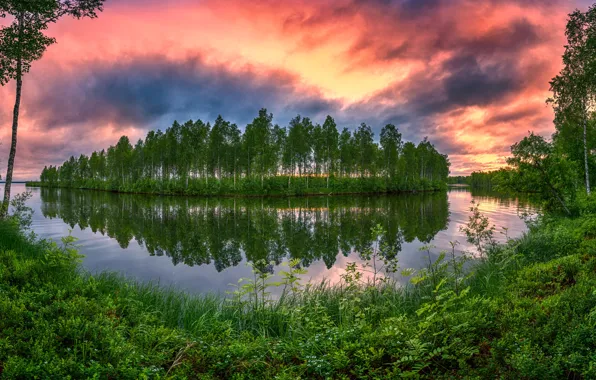 Picture summer, grass, trees, sunset, lake, reflection, island