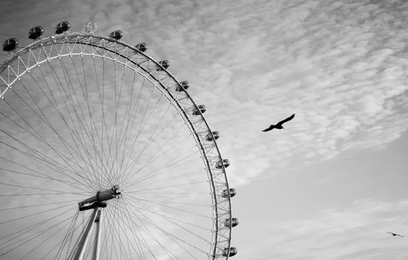 The sky, clouds, birds, London, black and white, Ferris wheel, london, london eye