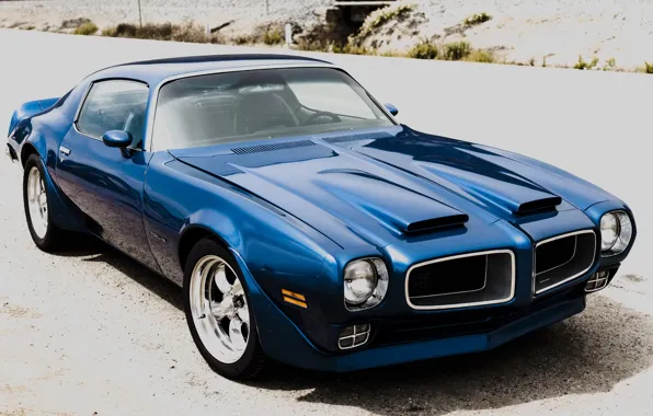 Picture Blue, Pontiac, Firebird, 1972