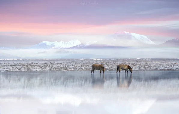 Winter, the sky, clouds, snow, mountains, nature, fog, reflection