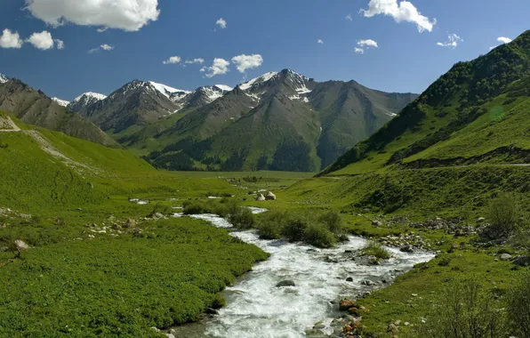 Picture GRASS, MOUNTAINS, TOPS, GREENS, SNOW, RIVER, DAL, DIRECTION