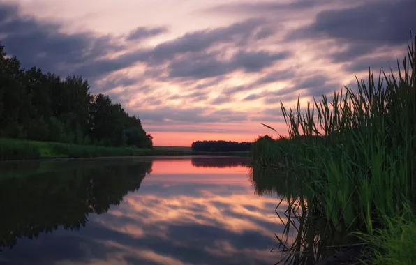 The sky, trees, sunset, reflection, river, the evening, Agoranov Alex