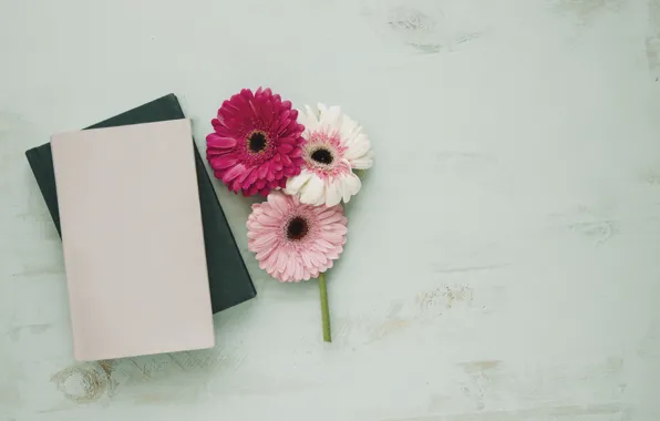 Flowers, leaves, Notepad, Gerbera