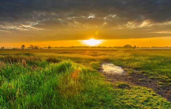 Picture sunrise, plain, Netherlands, Holland, Aa en Hunze, Drenthe