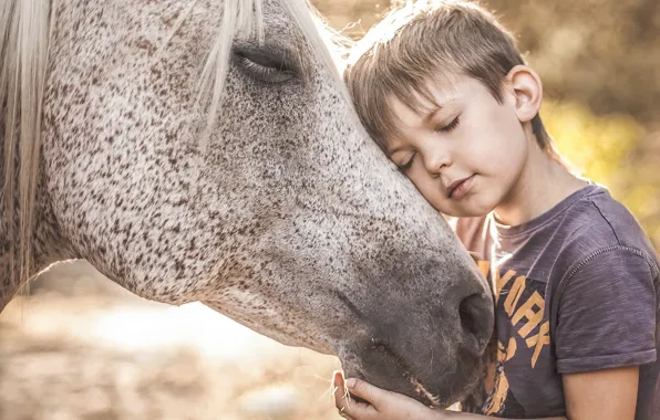 Picture mood, horse, boy