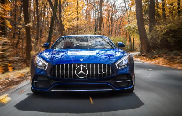 Picture Roadster, Mercedes-Benz, front view, AMG, 2018, GT C