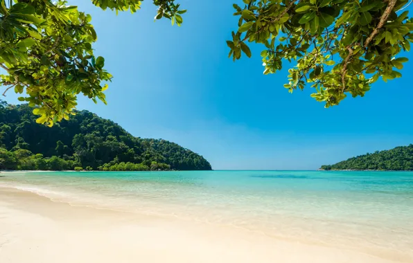Sea, beach, summer, trees, nature, tropics, stay, summer