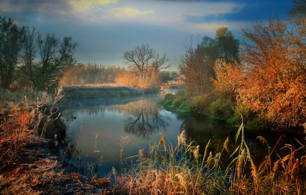 Picture frost, autumn, grass, the sun, trees, fog, river, morning