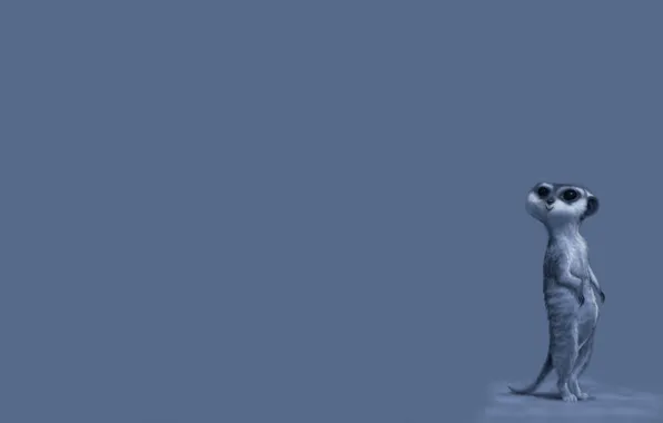 Animal, minimalism, Meerkat, animal, blue background