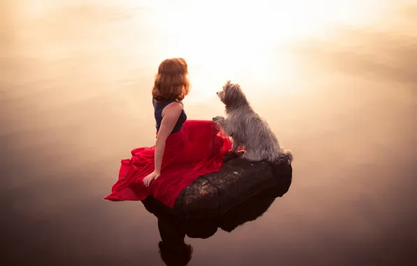Picture girl, light, lake, mood, dog, the evening
