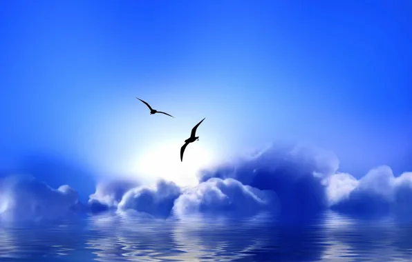 Picture clouds, seagulls, Blue Paradise