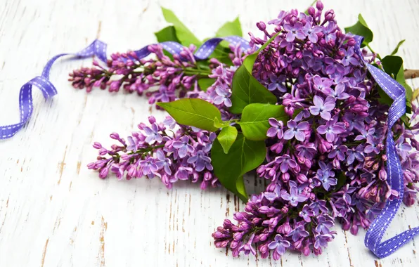 Bouquet, tape, lilac, Olena Rudo