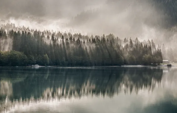 Water, Nature, Fog, Lake, Trees, Forest, House, Landscape