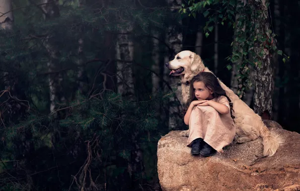 Picture forest, trees, stone, dog, girl, friends