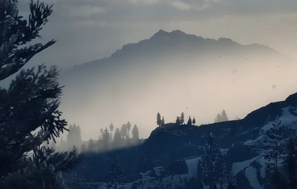 HDR, Wood, Mountain, Snow, Game, Fog, Trees, Cold