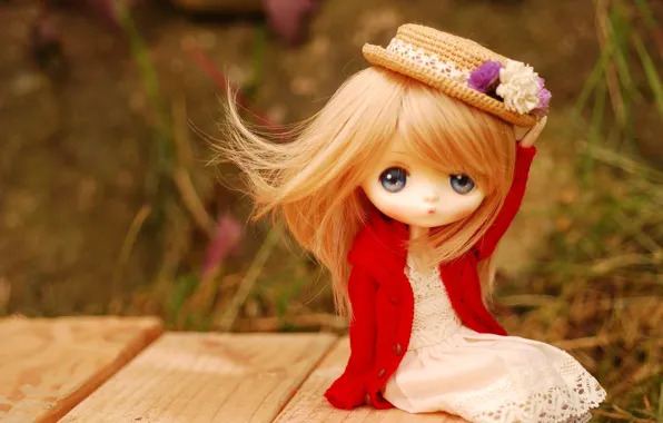 Picture toy, doll, hat