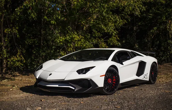 Picture white, lamborghini, aventador, lp 750-4