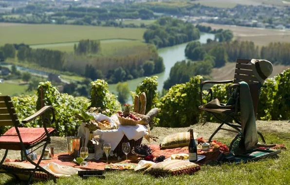 Picture nature, river, wine, picnic