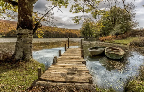 Forest, trees, landscape, nature, lake, shore, boat, pier