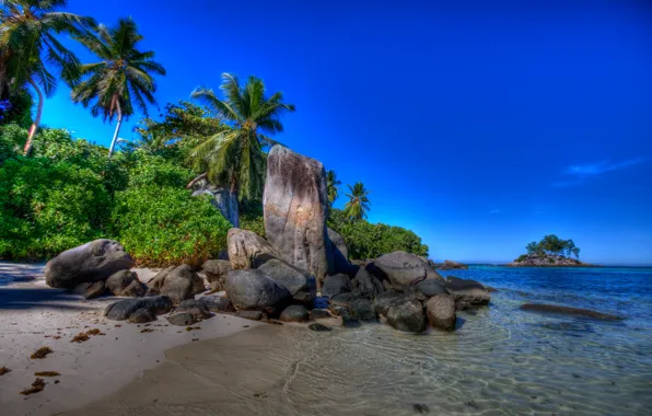 Sea, beach, summer, the sky, landscape, nature, palm trees