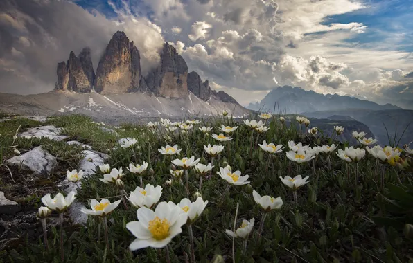 Clouds, landscape, flowers, mountains, nature, Italy, grass, anemones