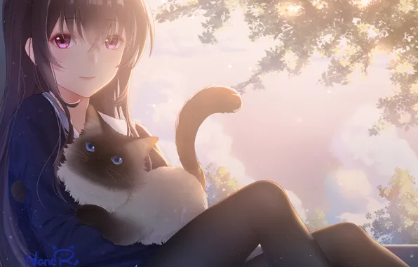 Picture cat, girl, anime, art, sitting, saenai heroine from sodatekata