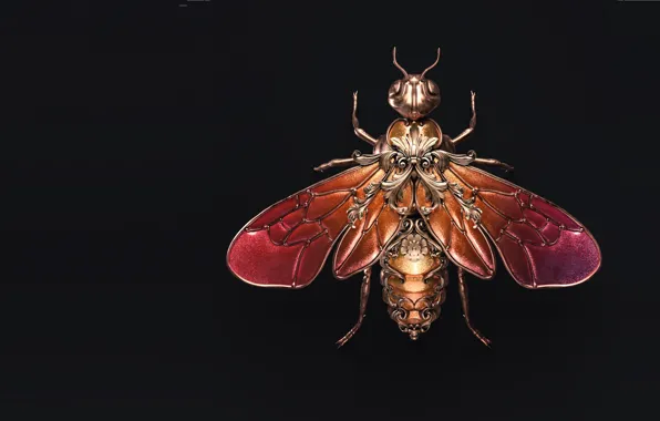 Picture art, fly, brooch, Sasha Vinogradova, Jewel wasp