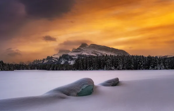 Picture winter, forest, the sky, snow, mountains, Timothy Poulton