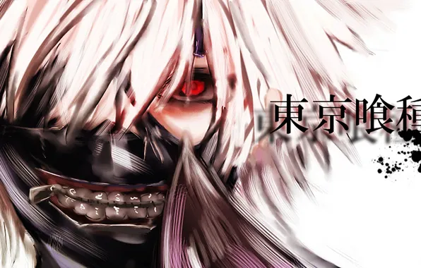 Mask, Tokyo ghoul, tokyo ghoul, Ken kanek