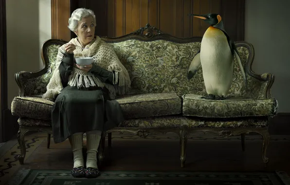 Picture sofa, grandma, penguin