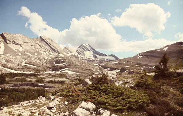 Picture the sky, clouds, trees, mountains, rocks, plants