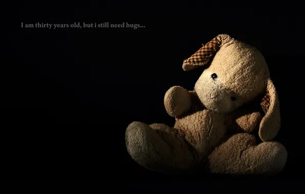 Picture background, toy, bear