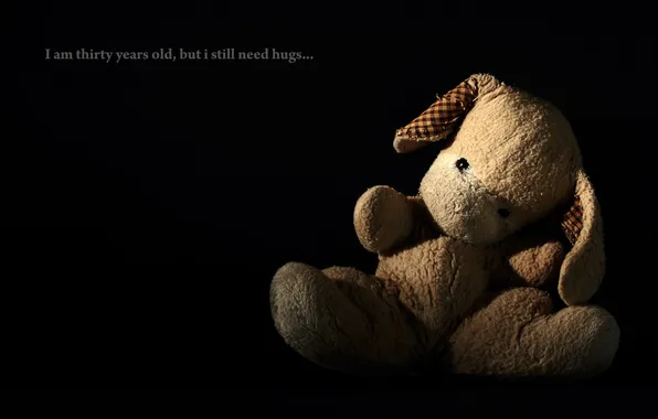 Background, toy, bear