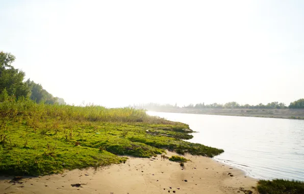Sand, beach, grass, water, the sun, nature, Rosa, river