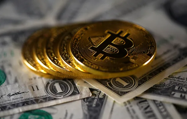 Picture blur, dollar, dollar, coins, bitcoin, bitcoin, btc
