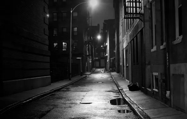 Road, night, the city, street, posts, home, lights, puddles